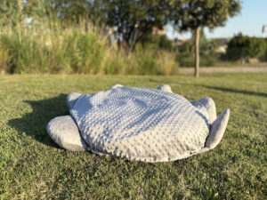TortuDream